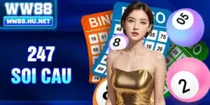 247 Soi Cau