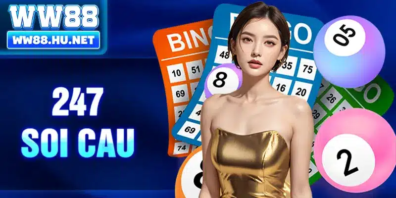 247 Soi Cau