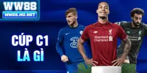 Cúp C1 là gì
