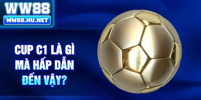 Cup C1 là gì mà hấp dẫn đến vậy?