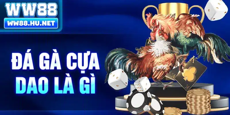 Đá Gà Cựa Dao Là Gì