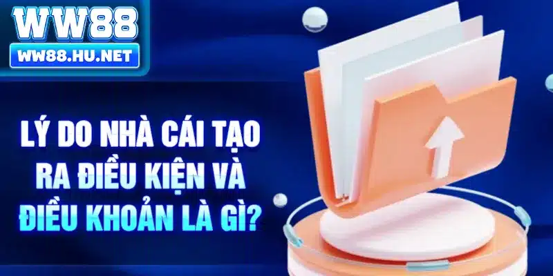 Lý do nhà cái tạo ra điều kiện và điều khoản là gì?