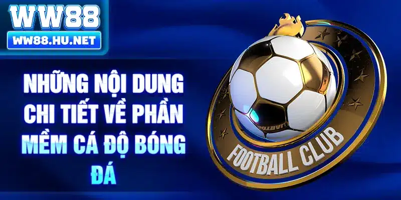 Những nội dung chi tiết về phần mềm cá độ bóng đá