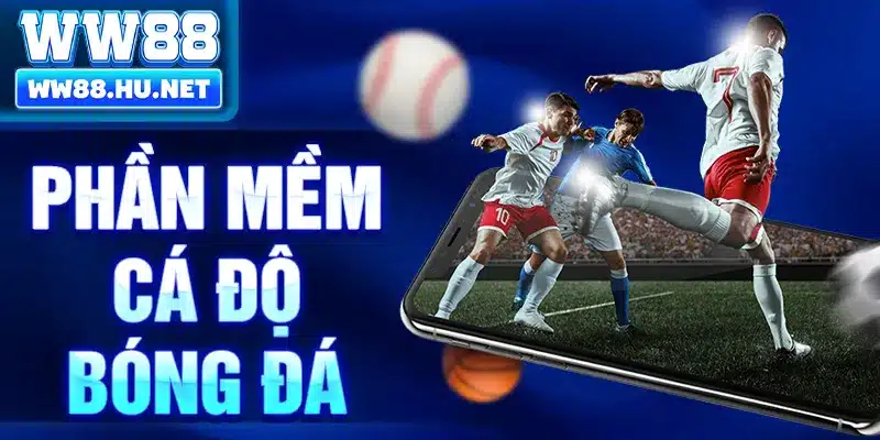 Phần Mềm Cá Độ Bóng Đá