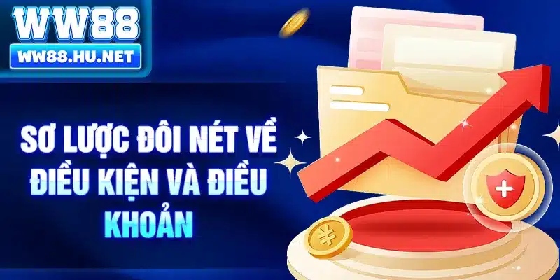 Sơ lược đôi nét về điều kiện và điều khoản