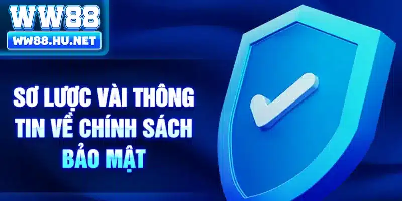 Sơ lược vài thông tin về chính sách bảo mật