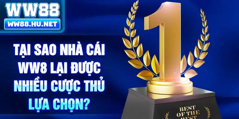 Tại sao nhà cái WW8 lại được nhiều cược thủ lựa chọn?