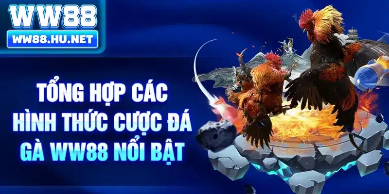 Tổng hợp các hình thức cược đá gà WW88 nổi bật