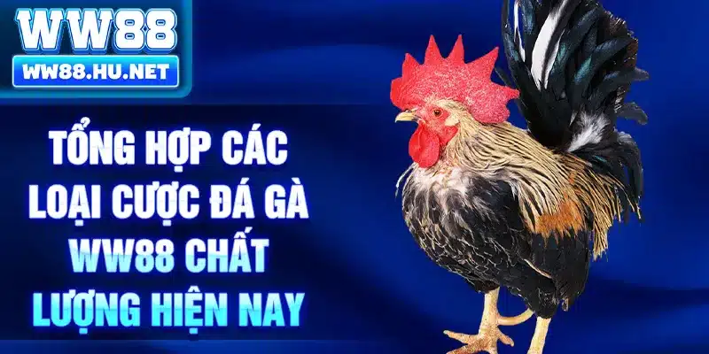 Tổng hợp các loại cược đá gà WW88 chất lượng hiện nay