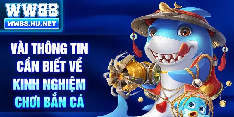 Vài thông tin cần biết về kinh nghiệm chơi bắn cá
