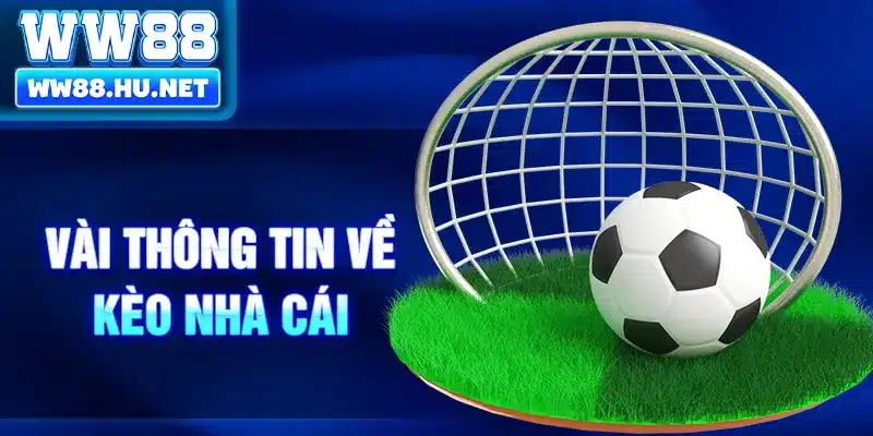 Vài thông tin về kèo nhà cái