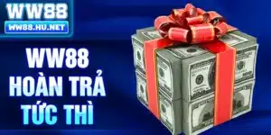 WW88 hoàn trả tức thì