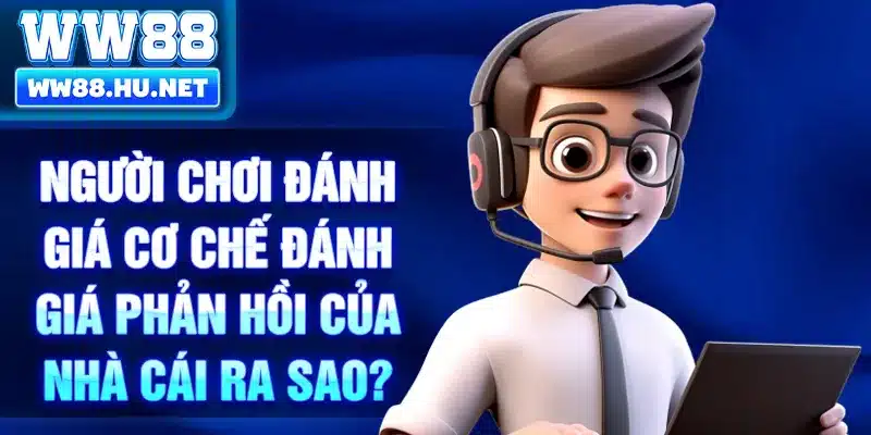 Người chơi đánh giá cơ chế đánh giá phản hồi của nhà cái ra sao?